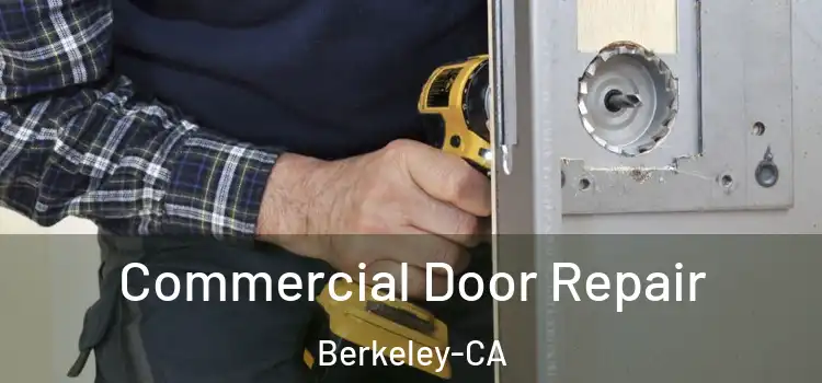 Commercial Door Repair Berkeley-CA
