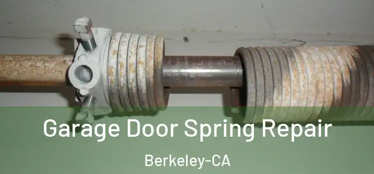 Garage Door Spring Repair Berkeley-CA