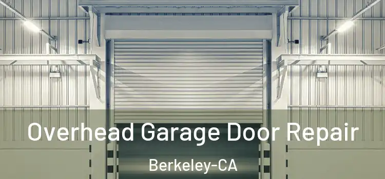  Overhead Garage Door Repair Berkeley-CA